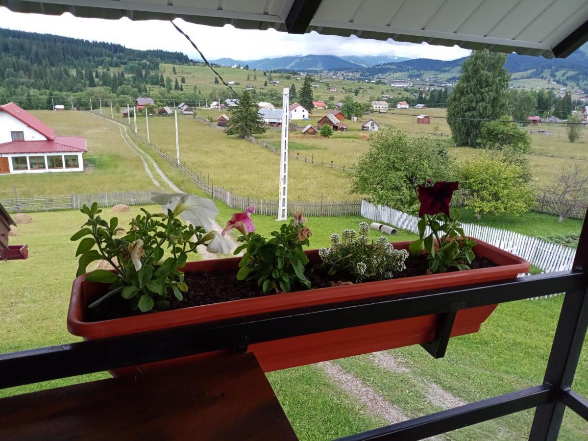 Casa Bucovina Dorna Candrenilor Ascutitele Bagian luar foto